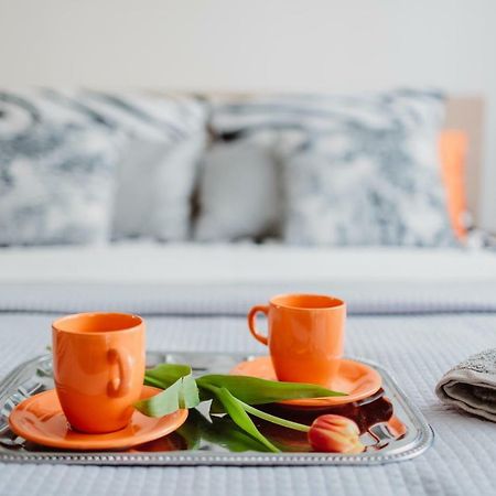Garden Apartment Krasków Εξωτερικό φωτογραφία