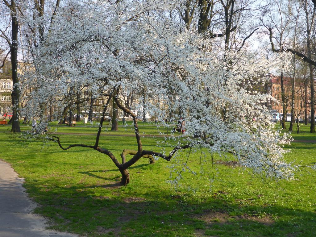 Garden Apartment Krasków Εξωτερικό φωτογραφία