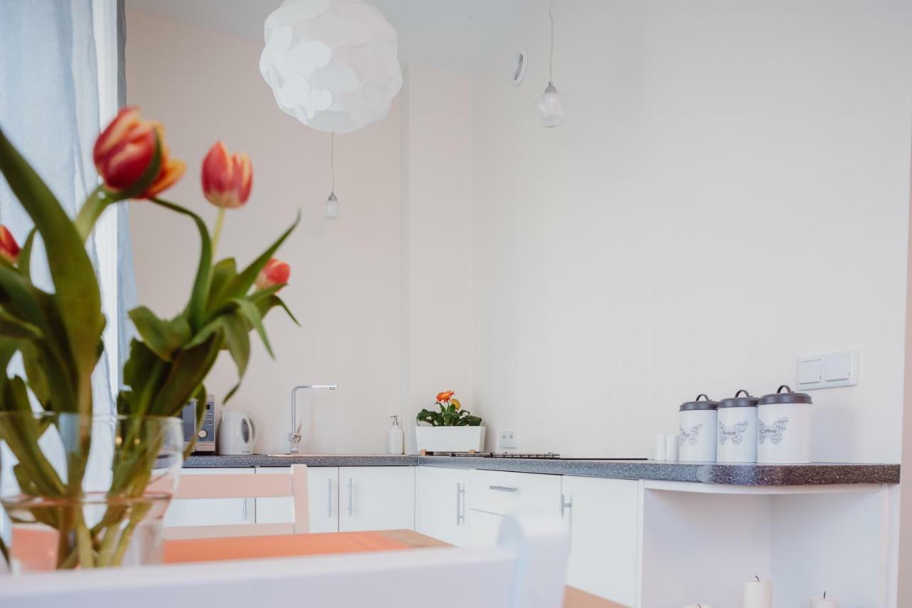 Garden Apartment Krasków Εξωτερικό φωτογραφία